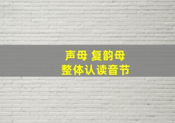 声母 复韵母 整体认读音节